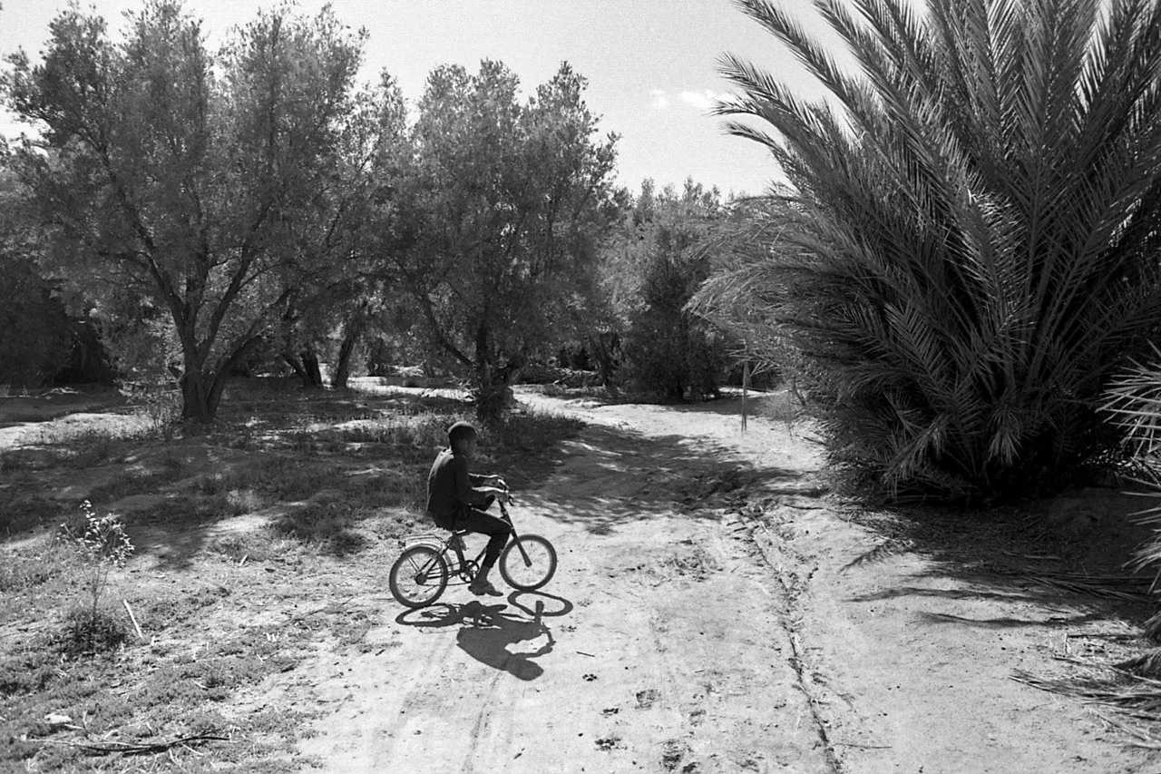 OM1 33-1095 Large.jpg