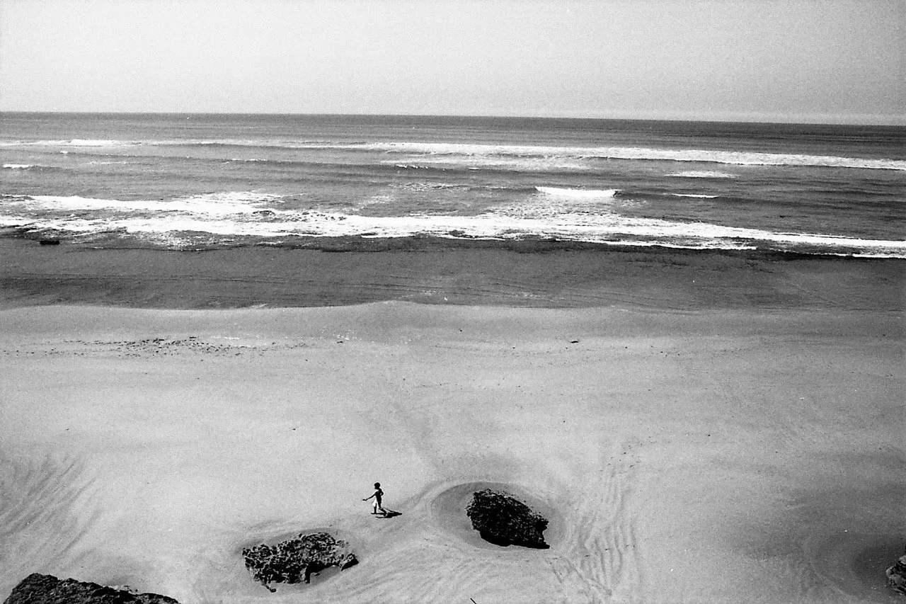 OM1 39-1320 Large.jpg