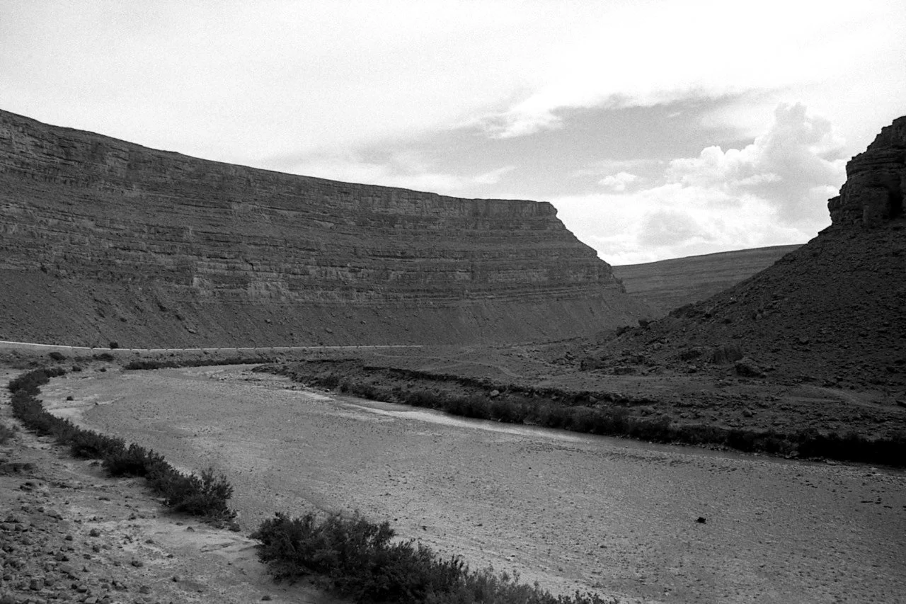 OM1 31-1048 Large.jpg