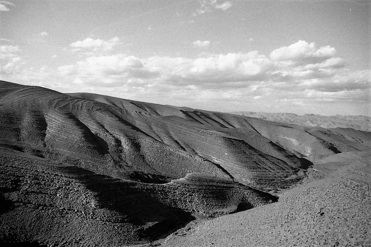 OM1 34-1149 Large.jpg
