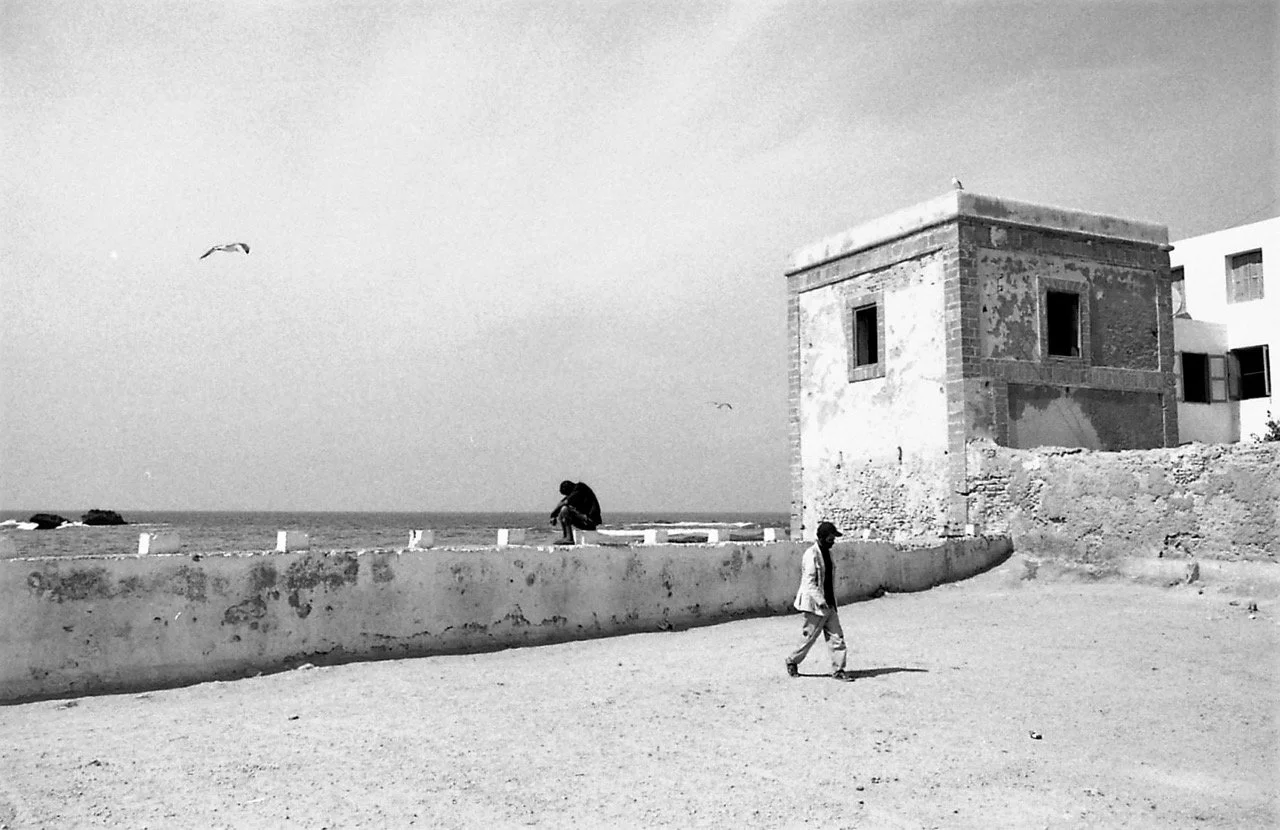 OM1 37-1261 Large.jpg
