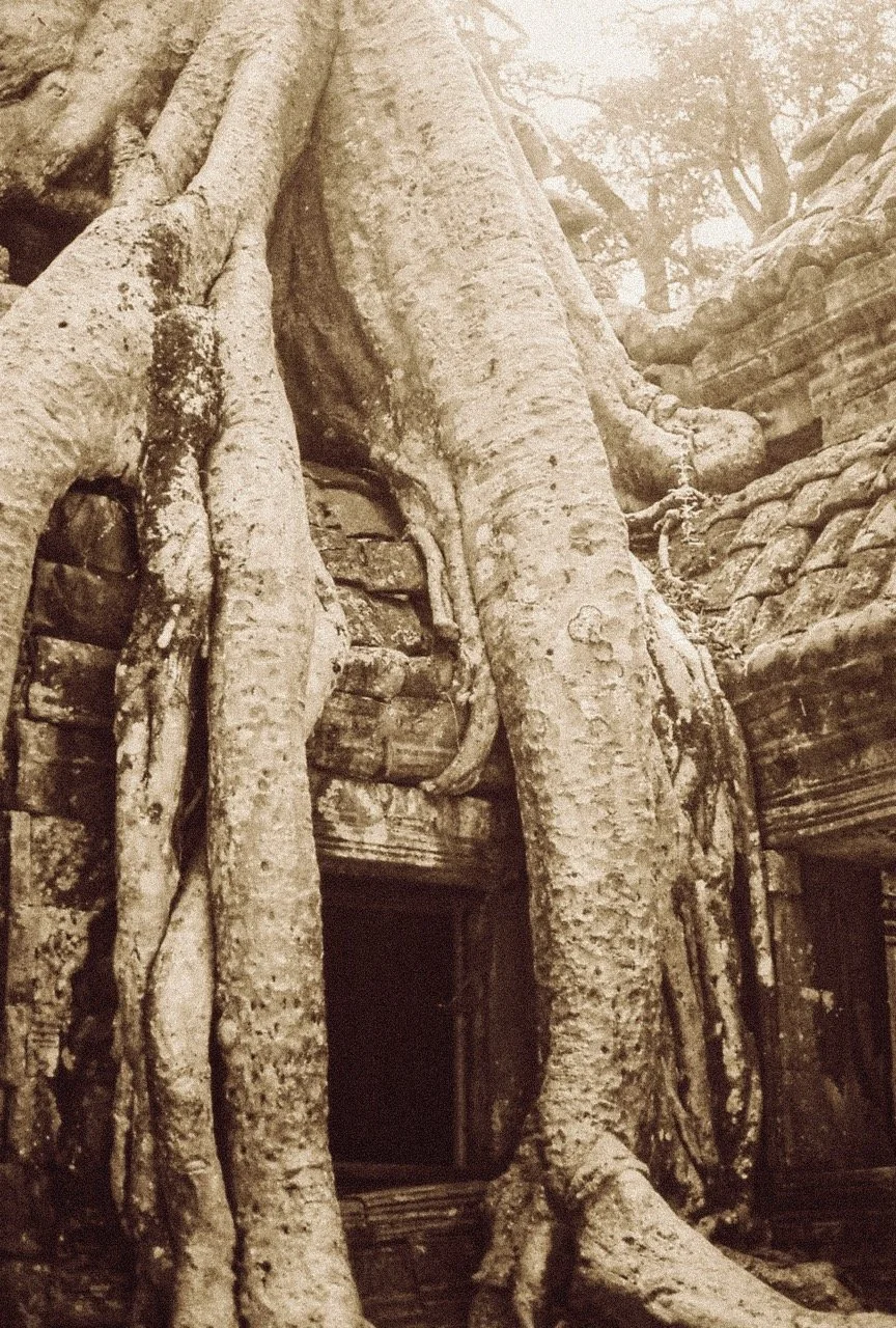 0001922-R1-06-7 Large.jpeg