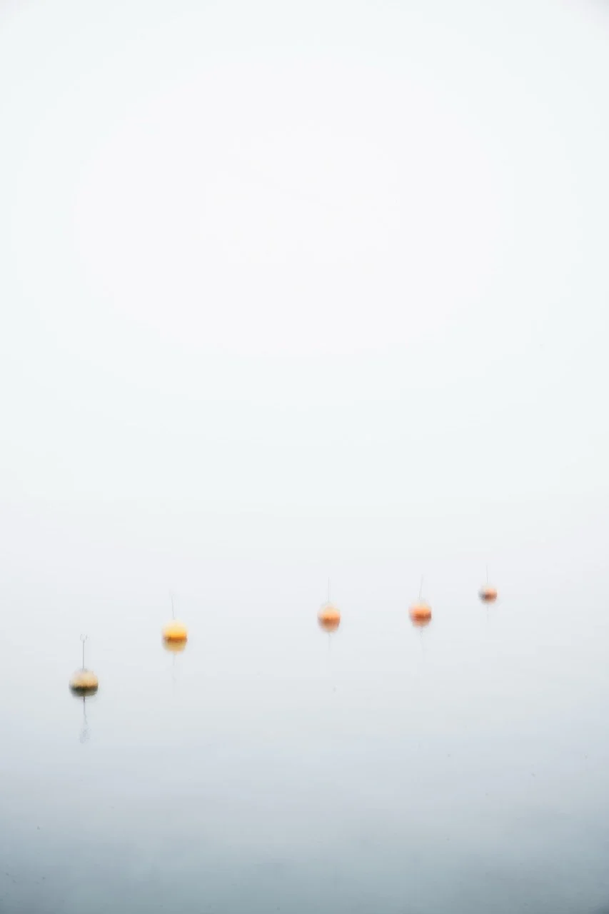 Five yellow and orange buoys floating in calm water with minimal ripples, creating faint reflections.