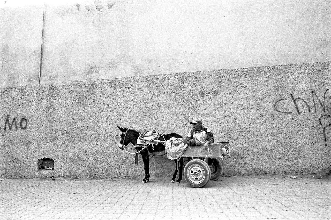 OM1 29-963 Large.jpg