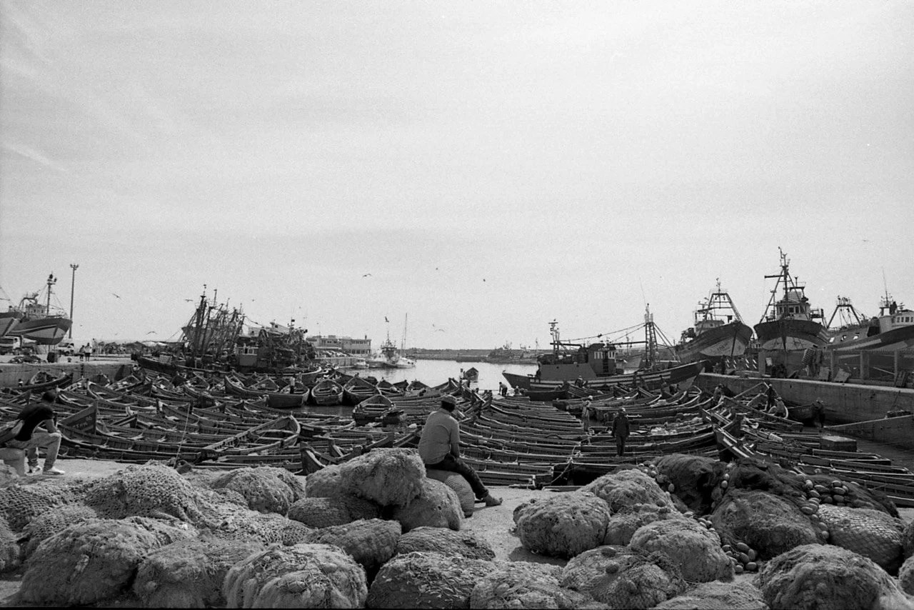 OM1 38-1279 Large.jpg