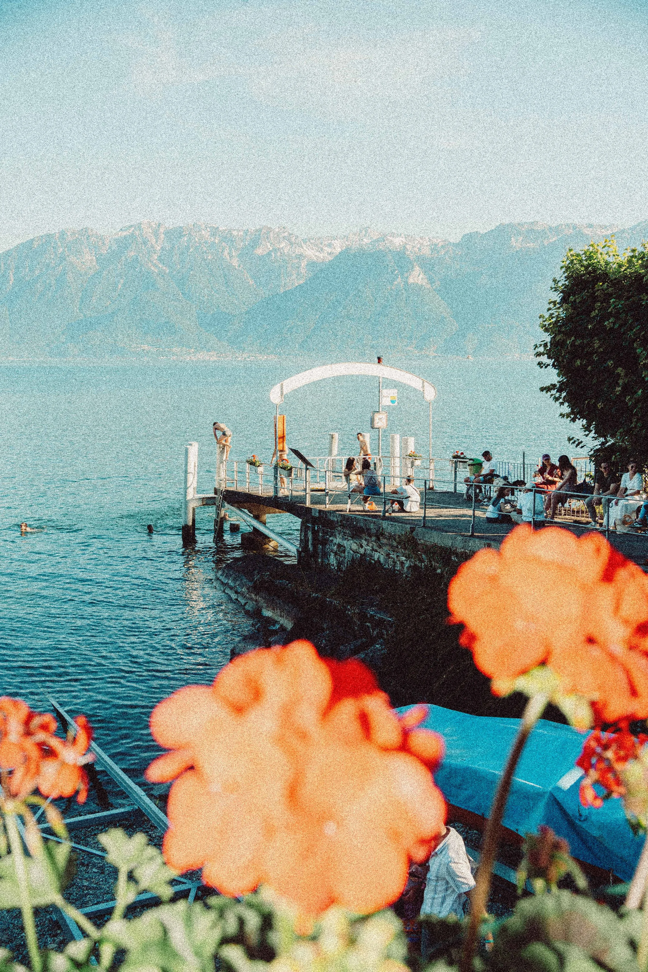 A scenic lakeside pier with people relaxing and swimming, mountains in the background, partly obscured by orange flowers in the foreground.