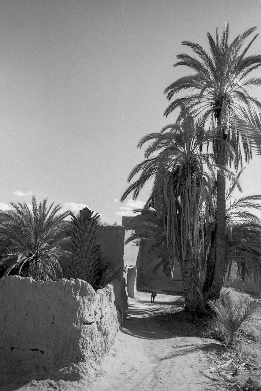 OM1 33-1096 Large.jpg
