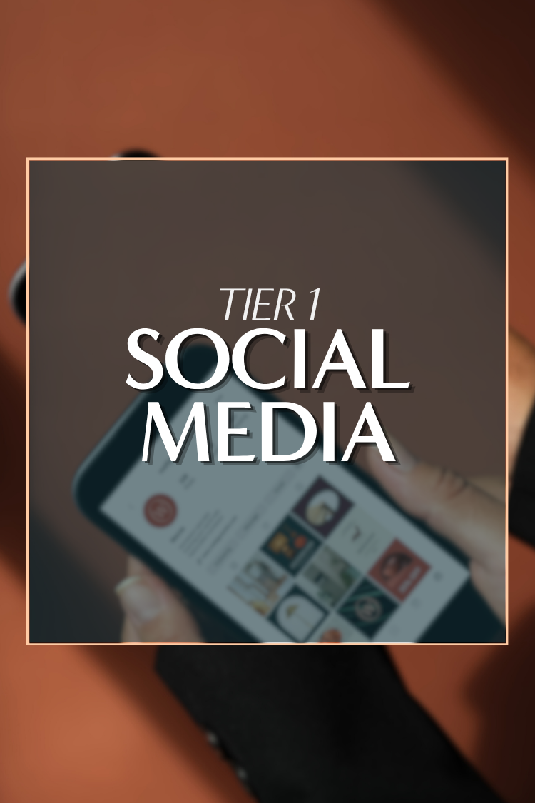 SOCIAL MEDIA PLAN | TIER 1