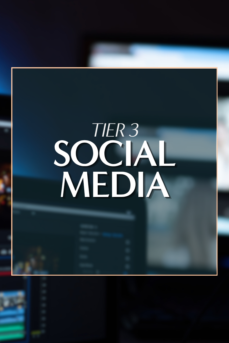 SOCIAL MEDIA PLAN | TIER 3