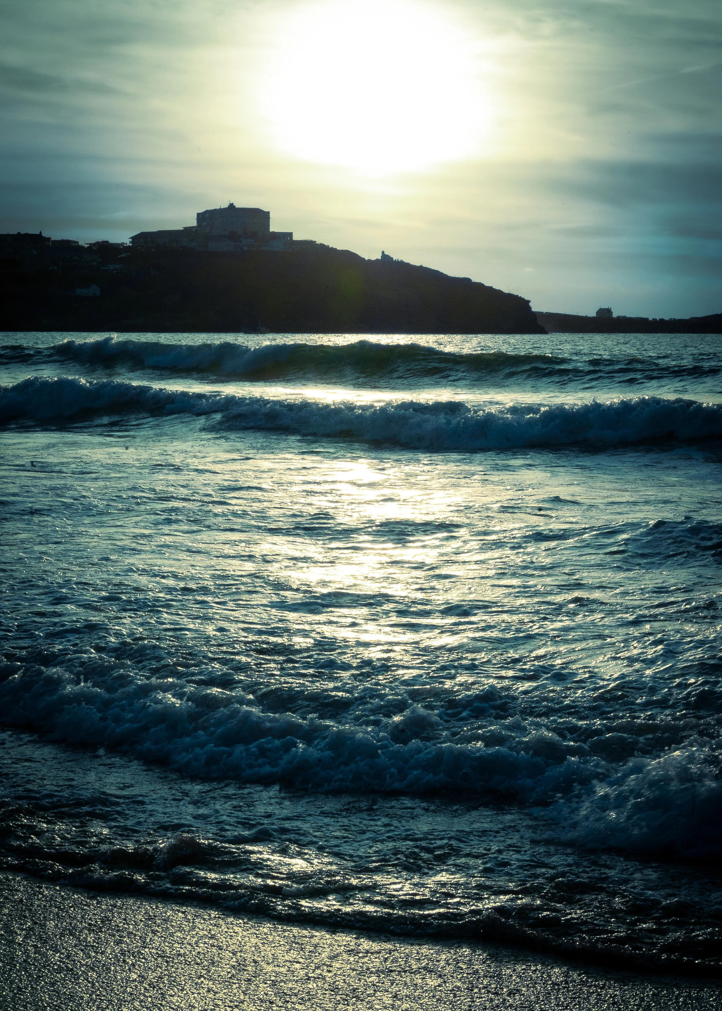 DSC01441-2.jpg