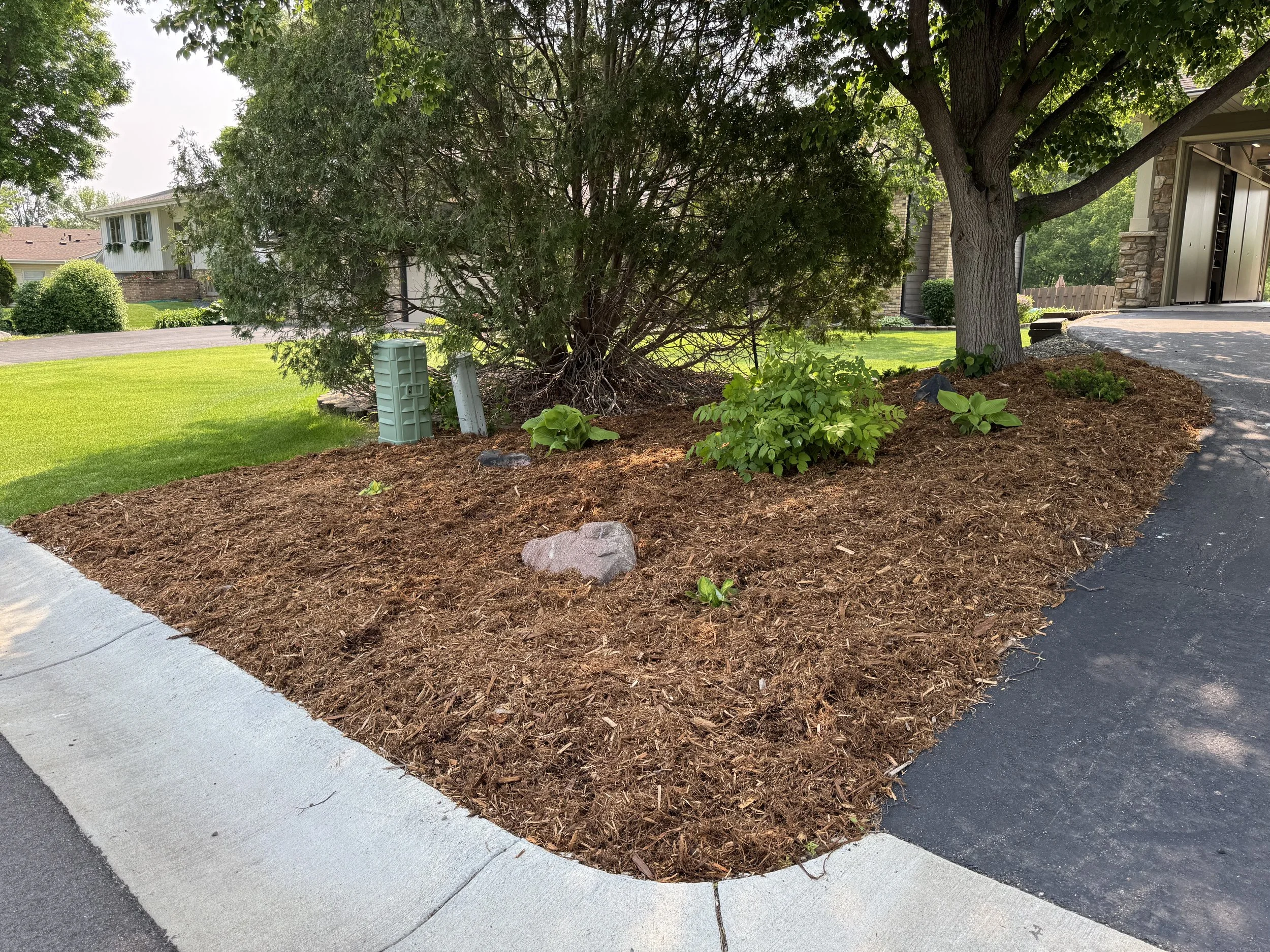 Western Red Cedar Mulch Project (Maple Grove, MN).jpeg