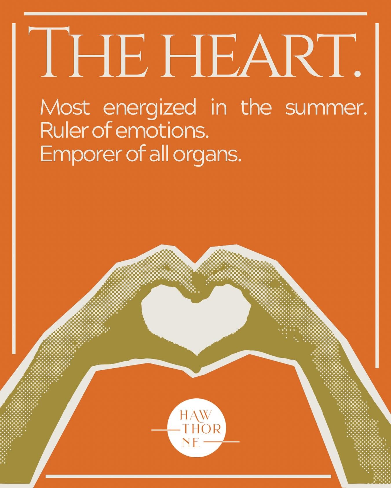 Emperor of all organs ❤️ 👑 The organ that is more energized in the summer is the heart! In TCM, the heart rules your emotions. If your body is in balance, you will feel great during the summer! If you are not in balance, you may experience symptoms 