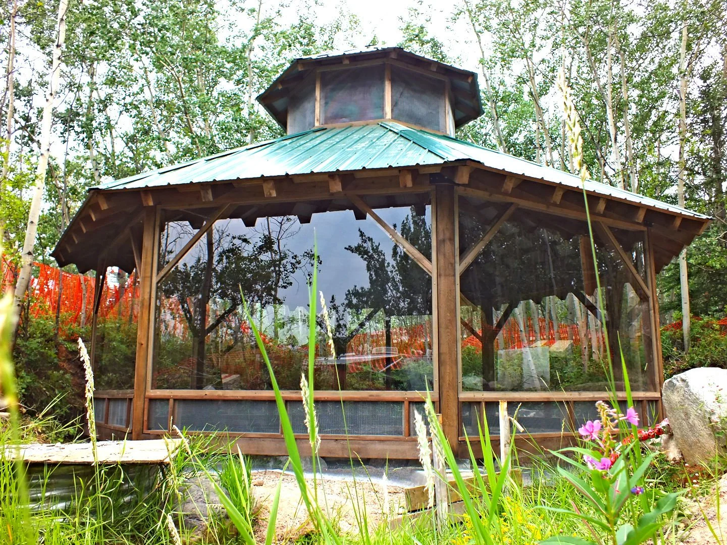 Wooden gazebo with a metal roof surrounded by trees and vegetation.