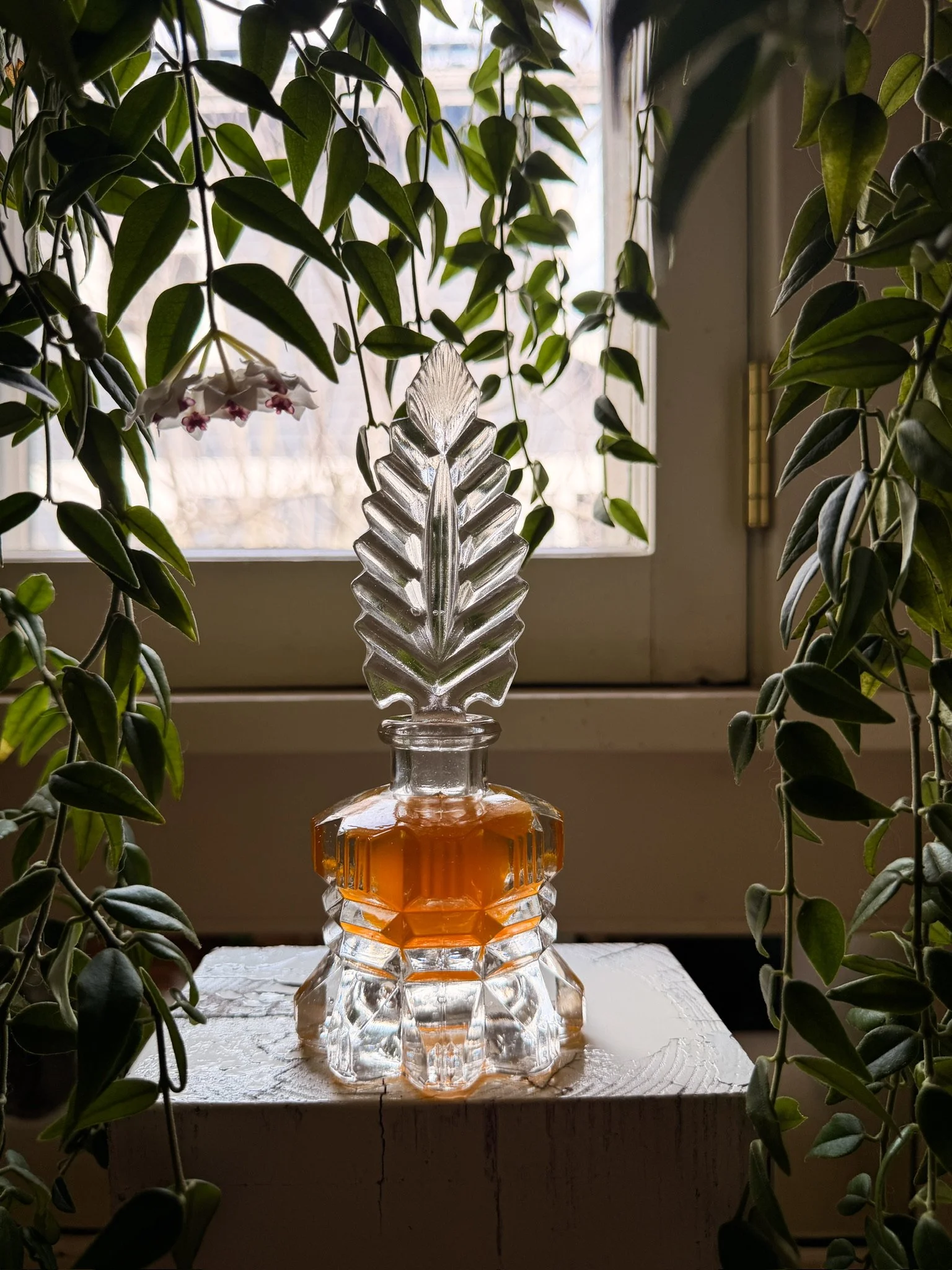 MINAX Botanical Oil Art Object - Feather