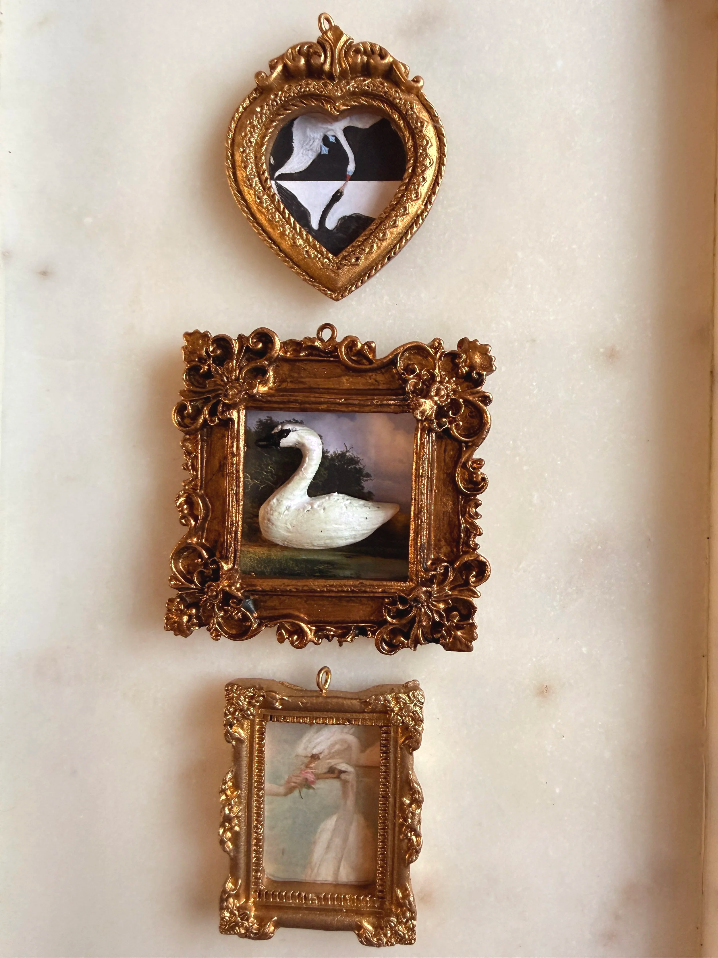IMG_1999.png