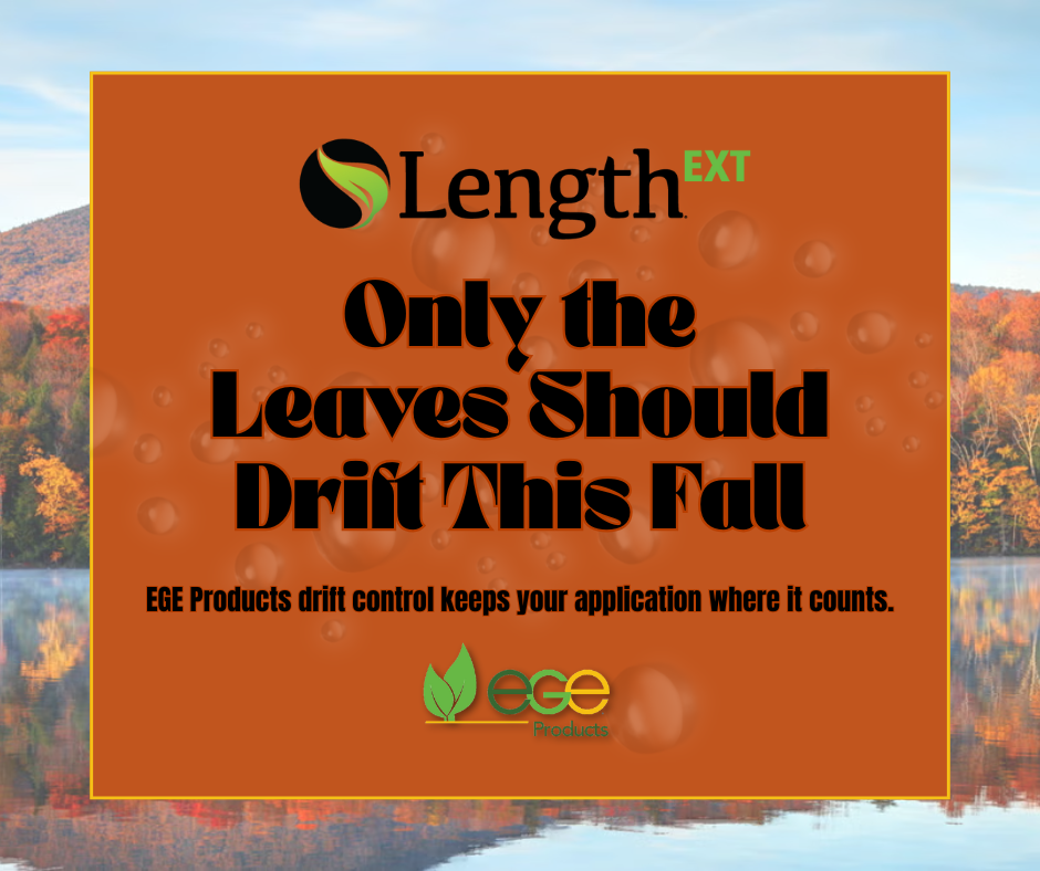 Only the Leaves Should Drift This Fall.png