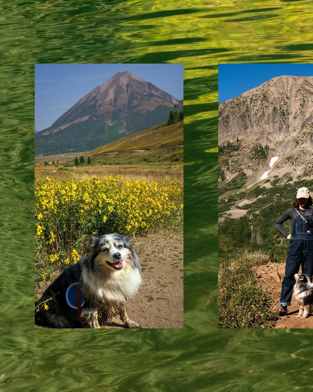Like the carvings on an aspen tree - this landscape leaves an impression on you