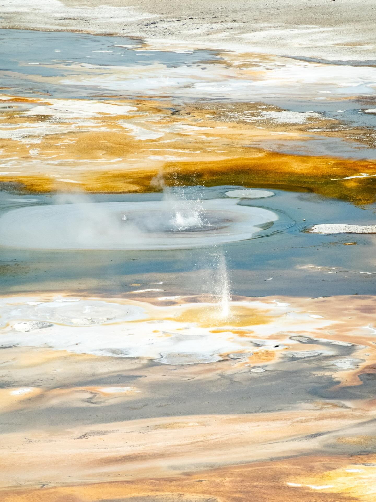 Textures of Yellowstone