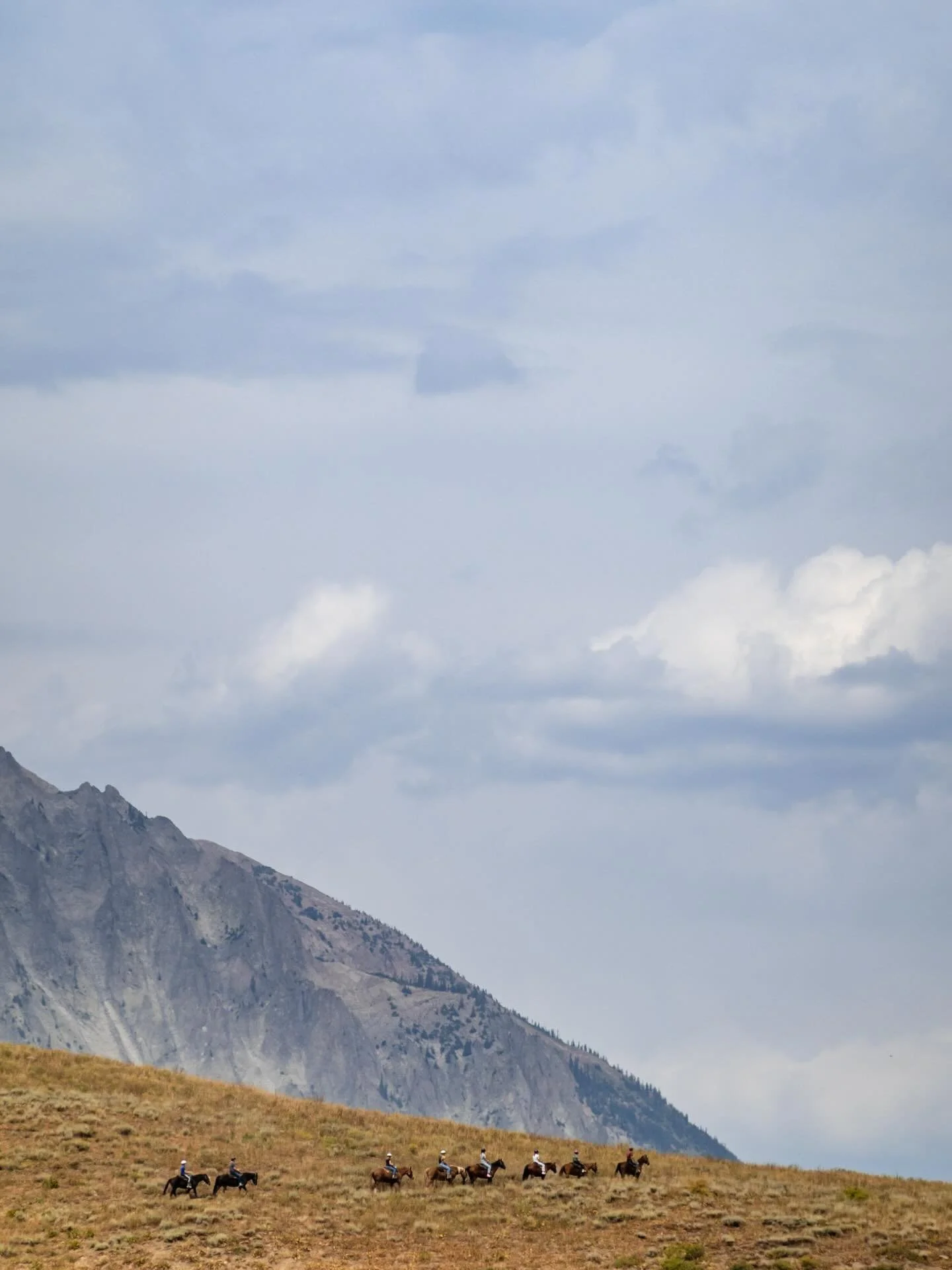 Read. Read outside. Outside. July-September