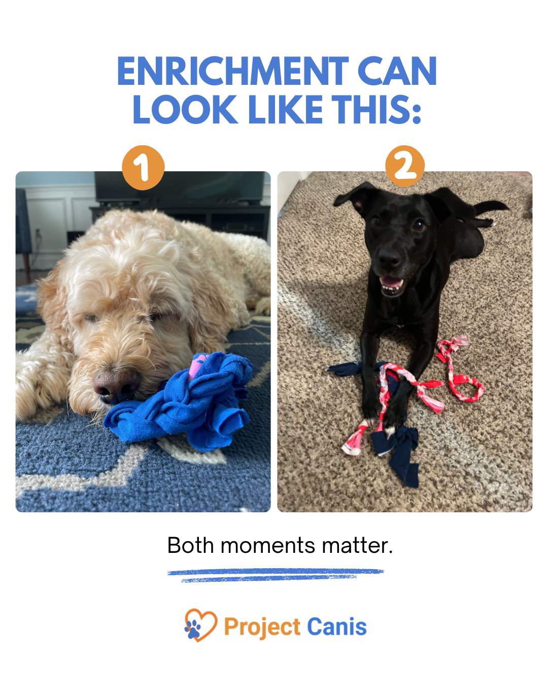 Enrichment can look like this (1).png