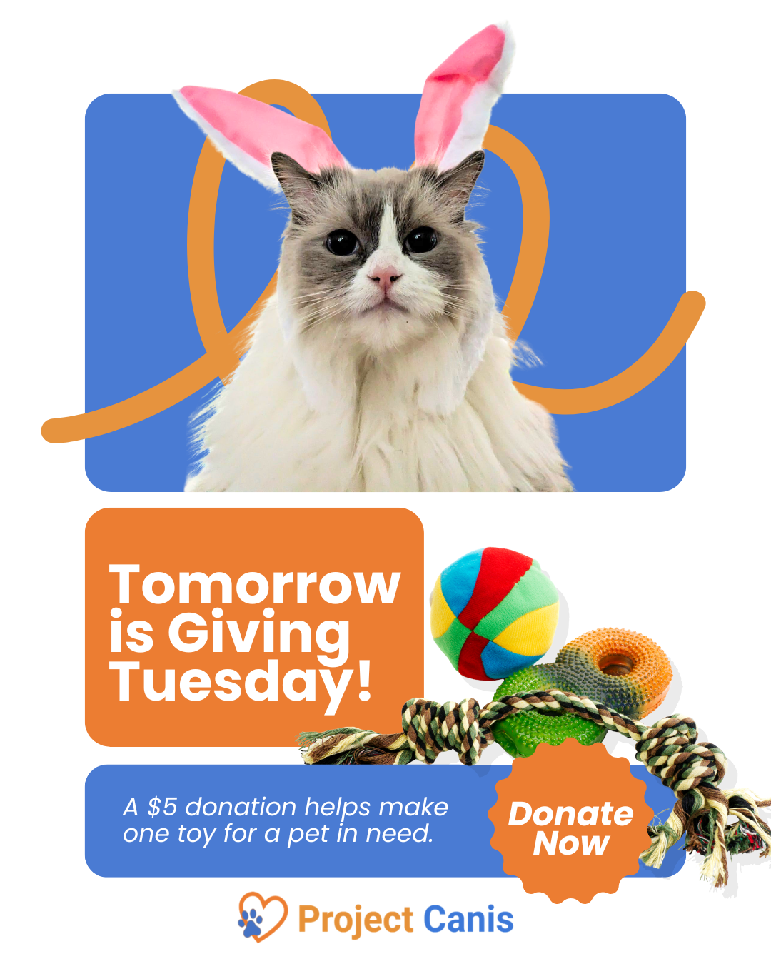 Tomorrow is Giving Tuesday! (2).png