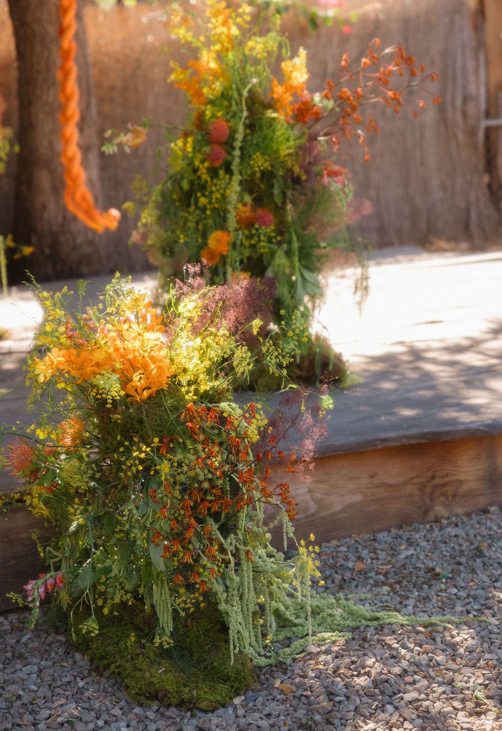 BRIANADIAMONDPHOTOGRAPHY--611.jpg