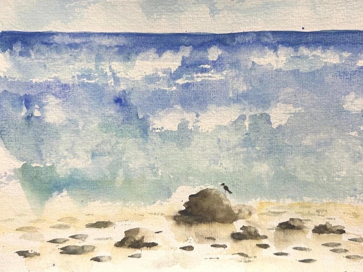 Watercolor painting of a beach scene with a large dark rock in the foreground, a bird perched on it, and numerous smaller rocks scattered around. The background features a cloudy sky with shades of blue and gray.