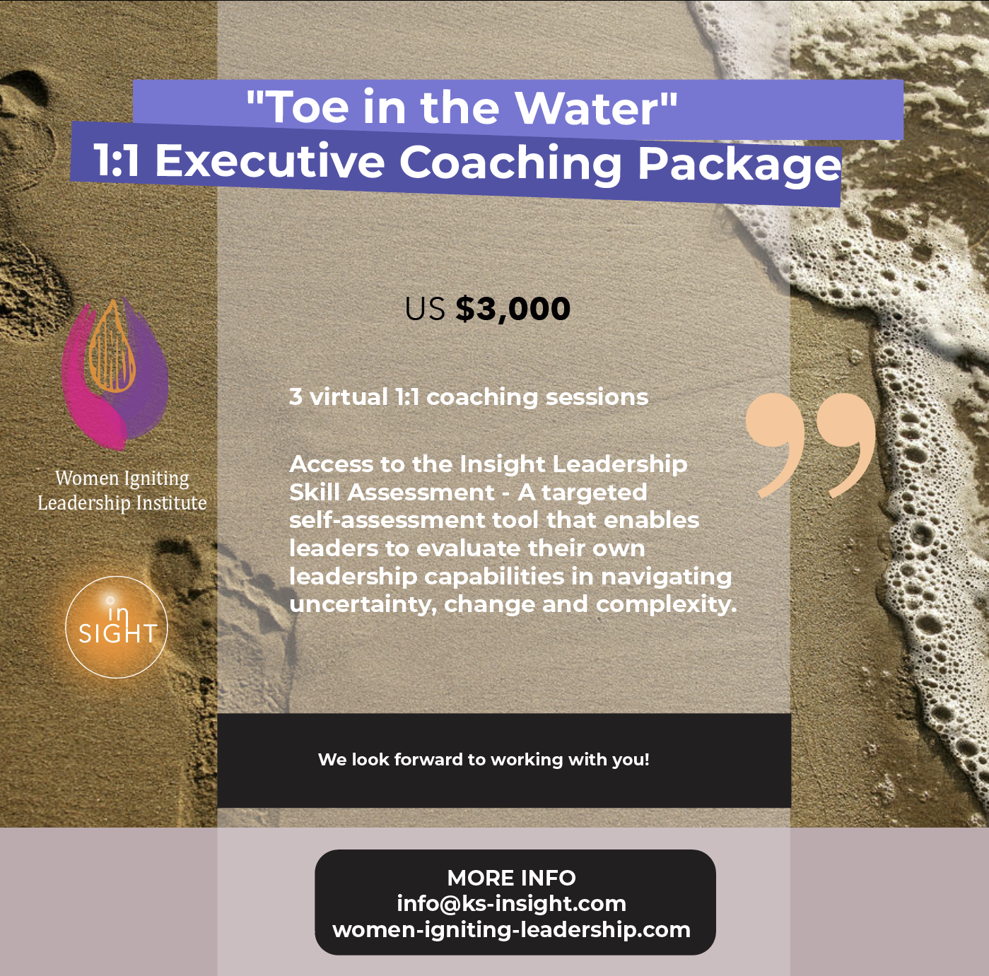 Toe in the Water poster .png