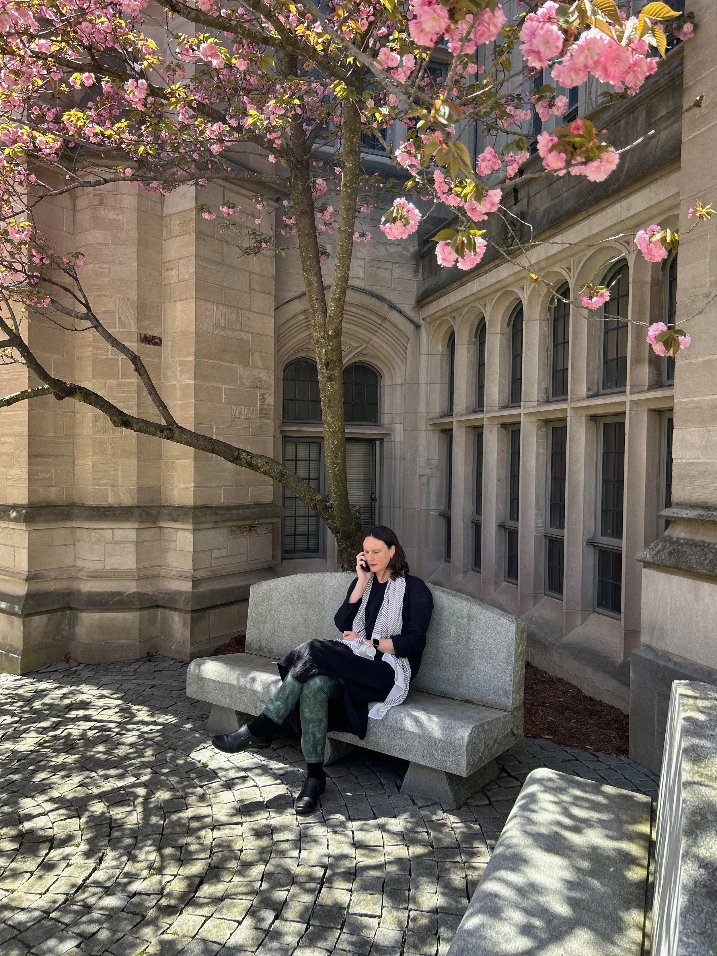 @ Yale
