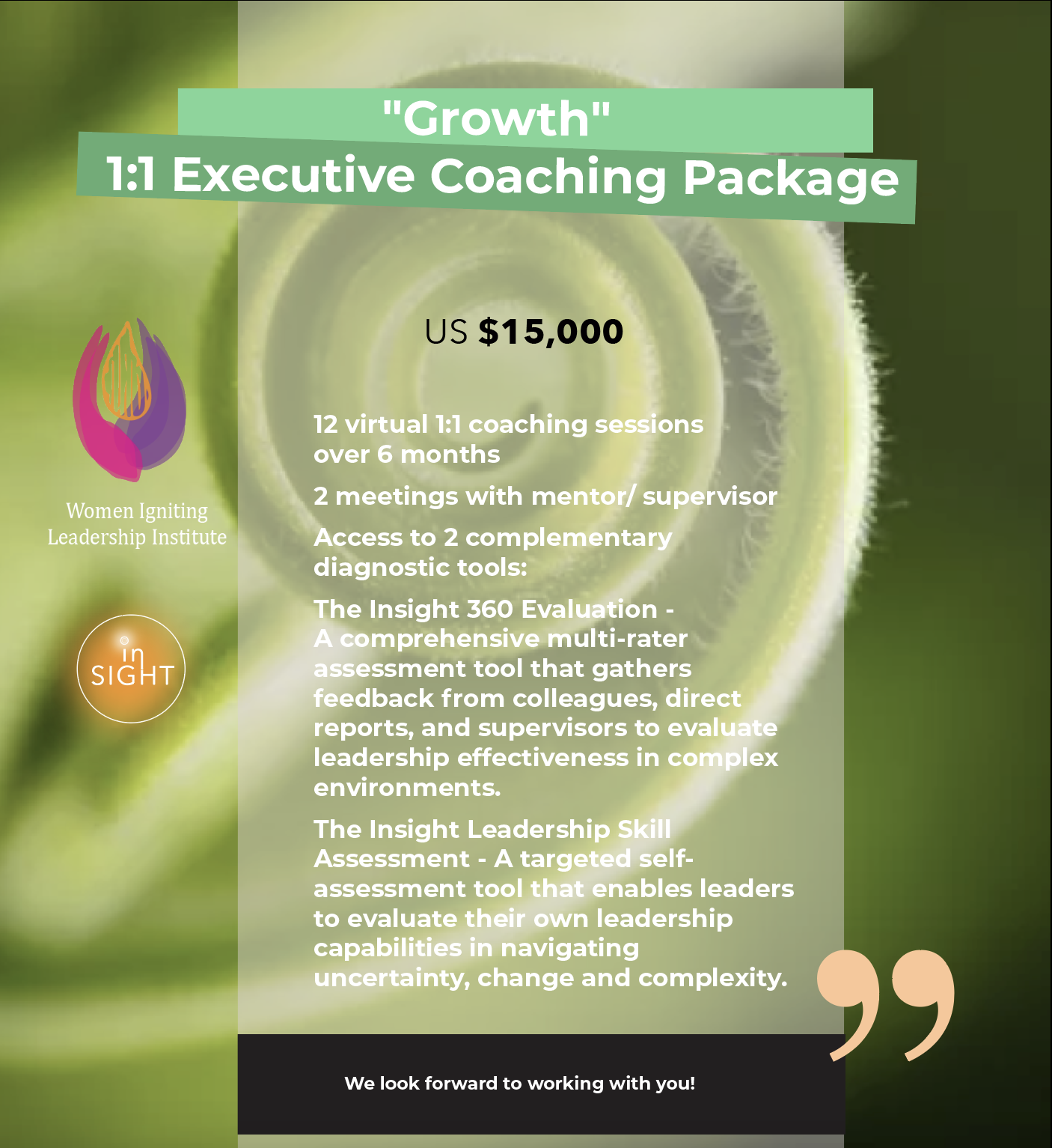 Growth spiral Poster Screengrab.png
