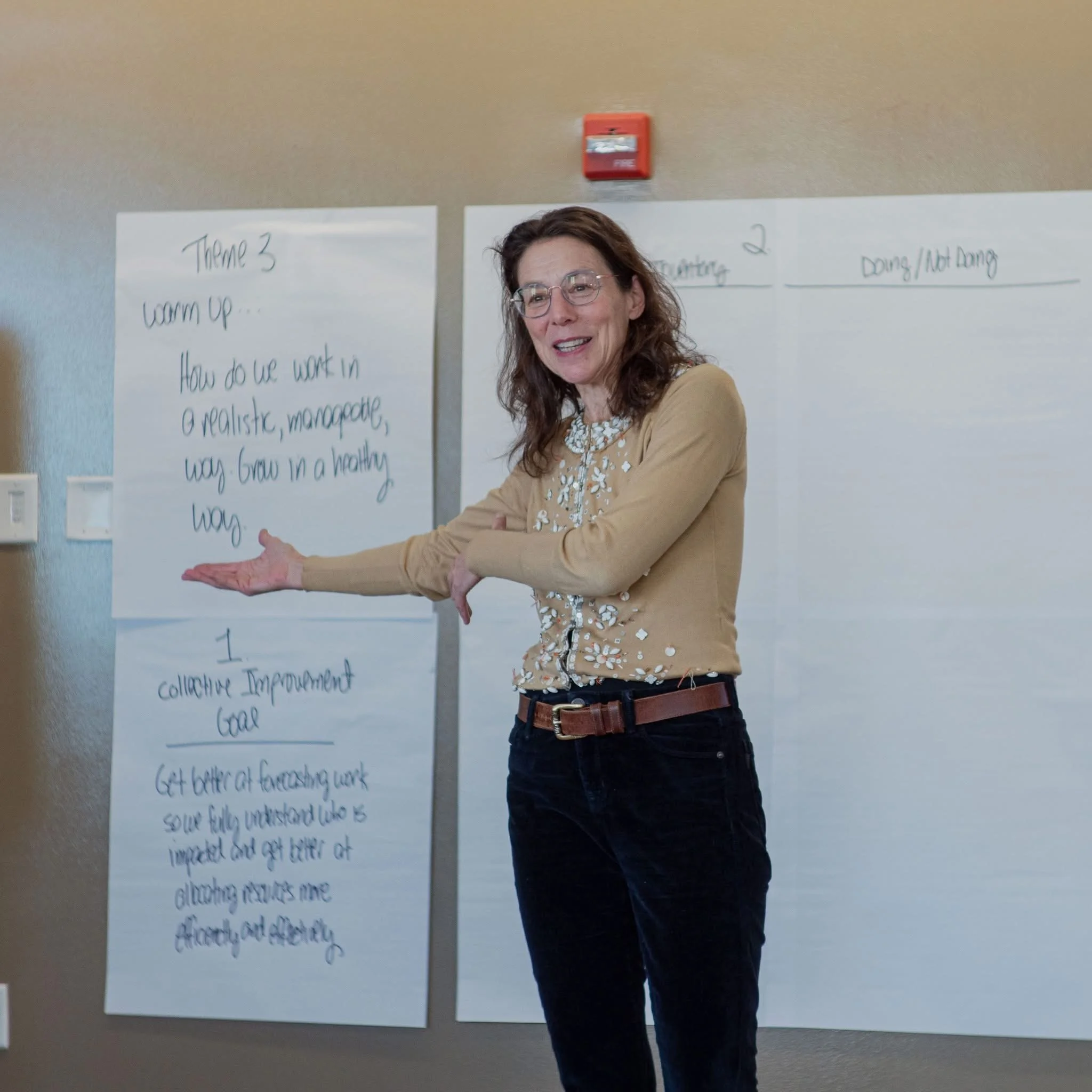 Facilitating Bob Kegan and Lisa Lahey’s Immunity to Change process, 2018