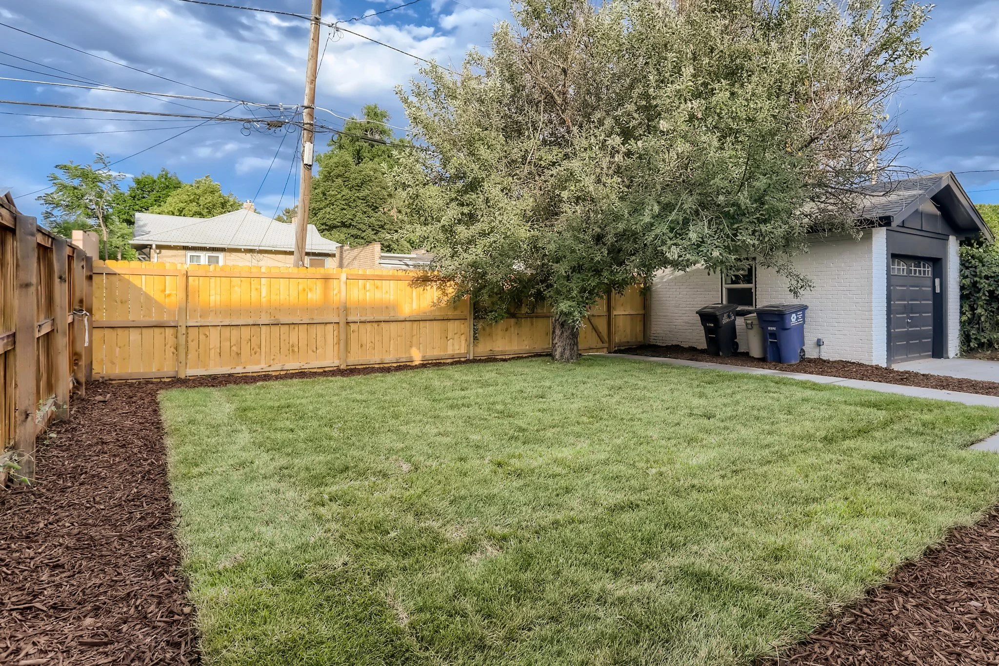 37 Back Yard.jpg