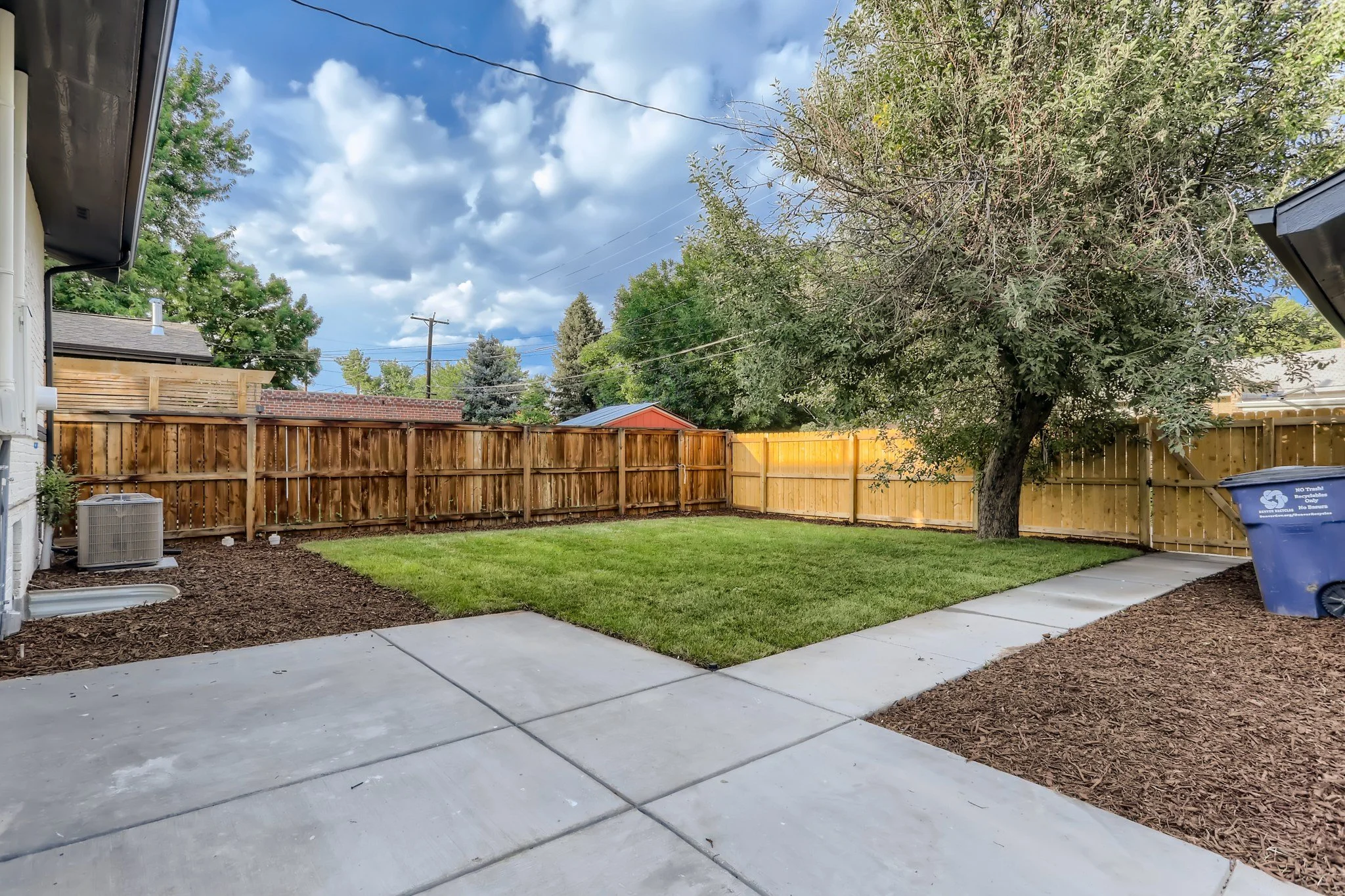 36 Back Yard.jpg