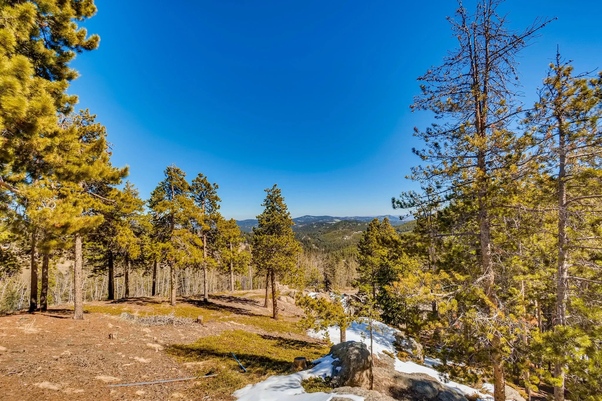 27732 Squaw Pass Rd Evergreen CO - MLS Sized - 037 - 52 Views.jpg