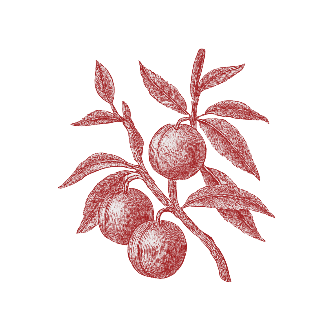 12.png