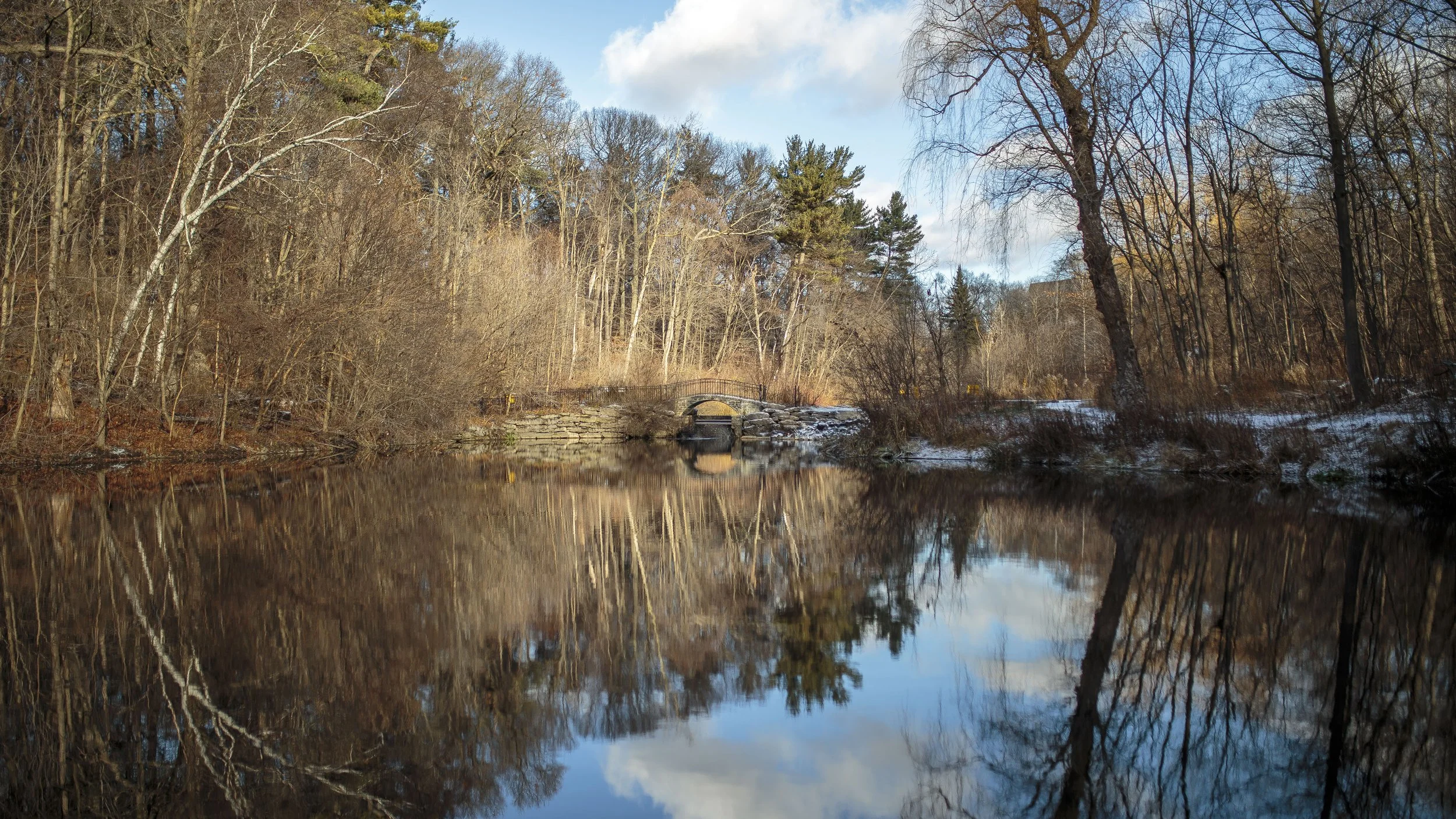 IMG_3981highparkpond.jpg