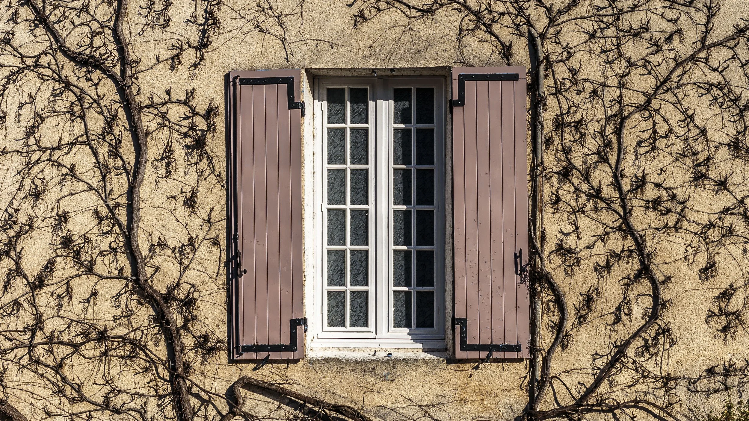 IMG_8849beigewindow.jpg