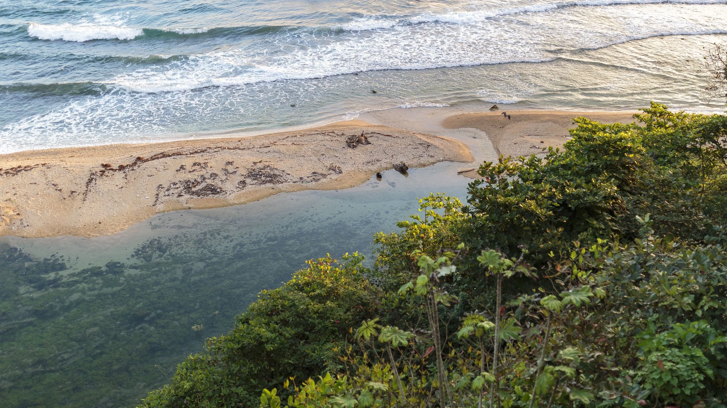 IMG_7227jamaicacoast.jpg