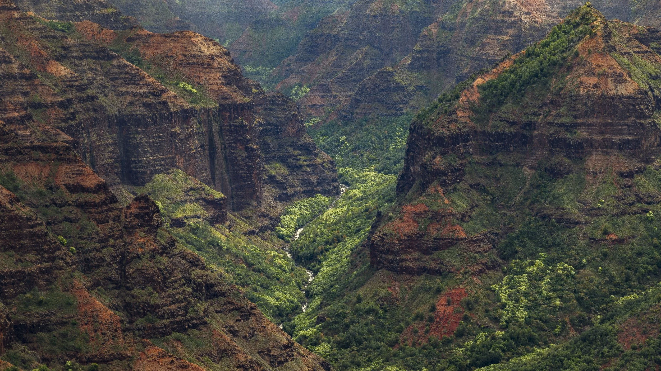 IMG_1485waimeacanyon.jpg