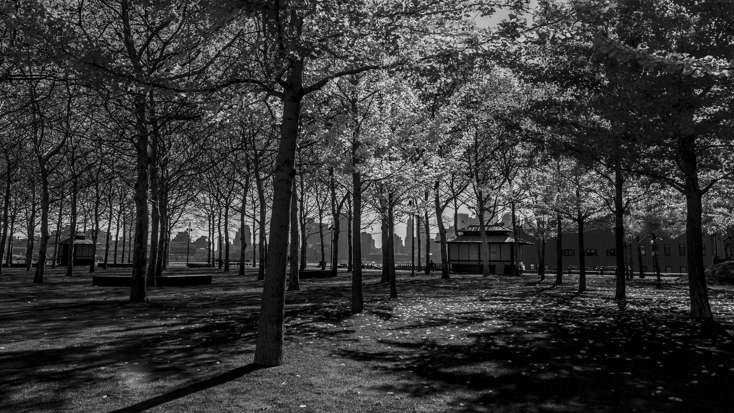 IMG_3284hobokenpark.jpg