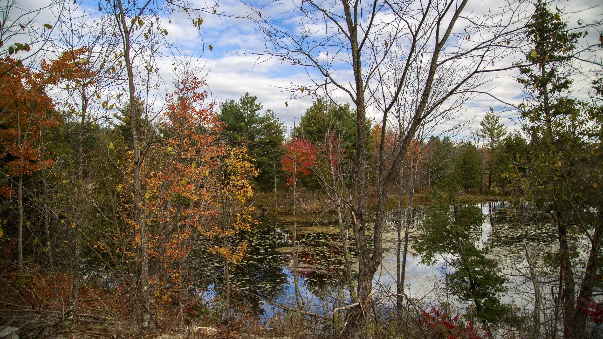 Thanksgiving Pond.jpg