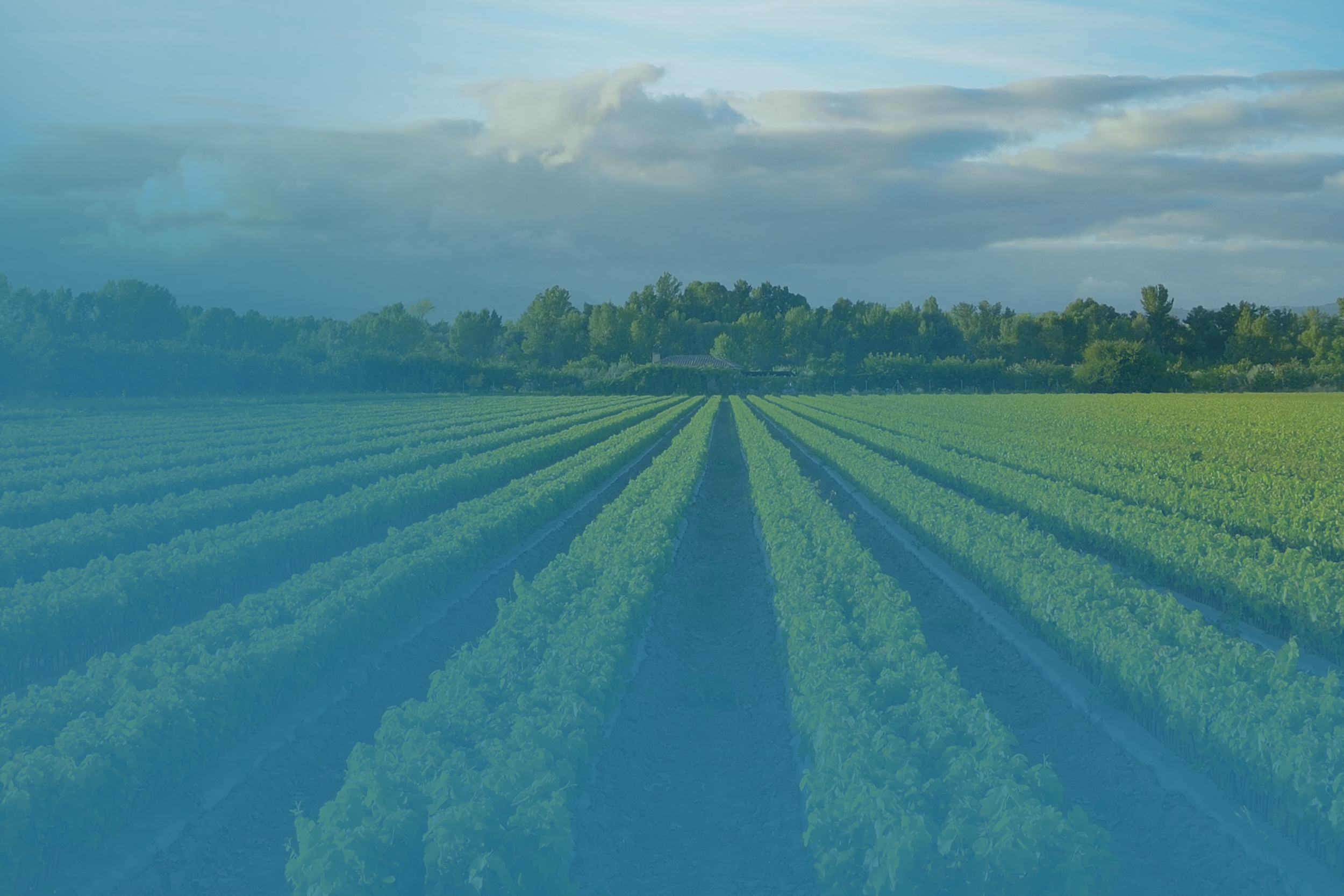 Connected Irrigation, How Emergent is Transforming Agricultural Water Management