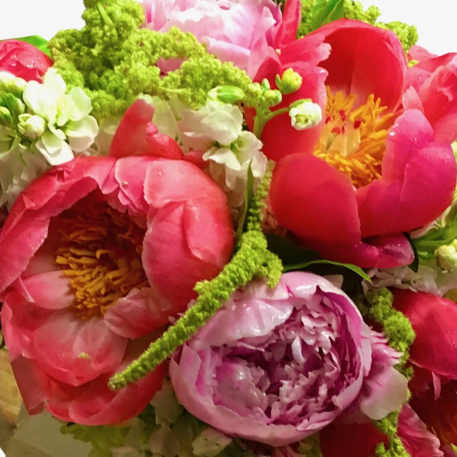 Photoroom_20260402_152221 (1).jpeg