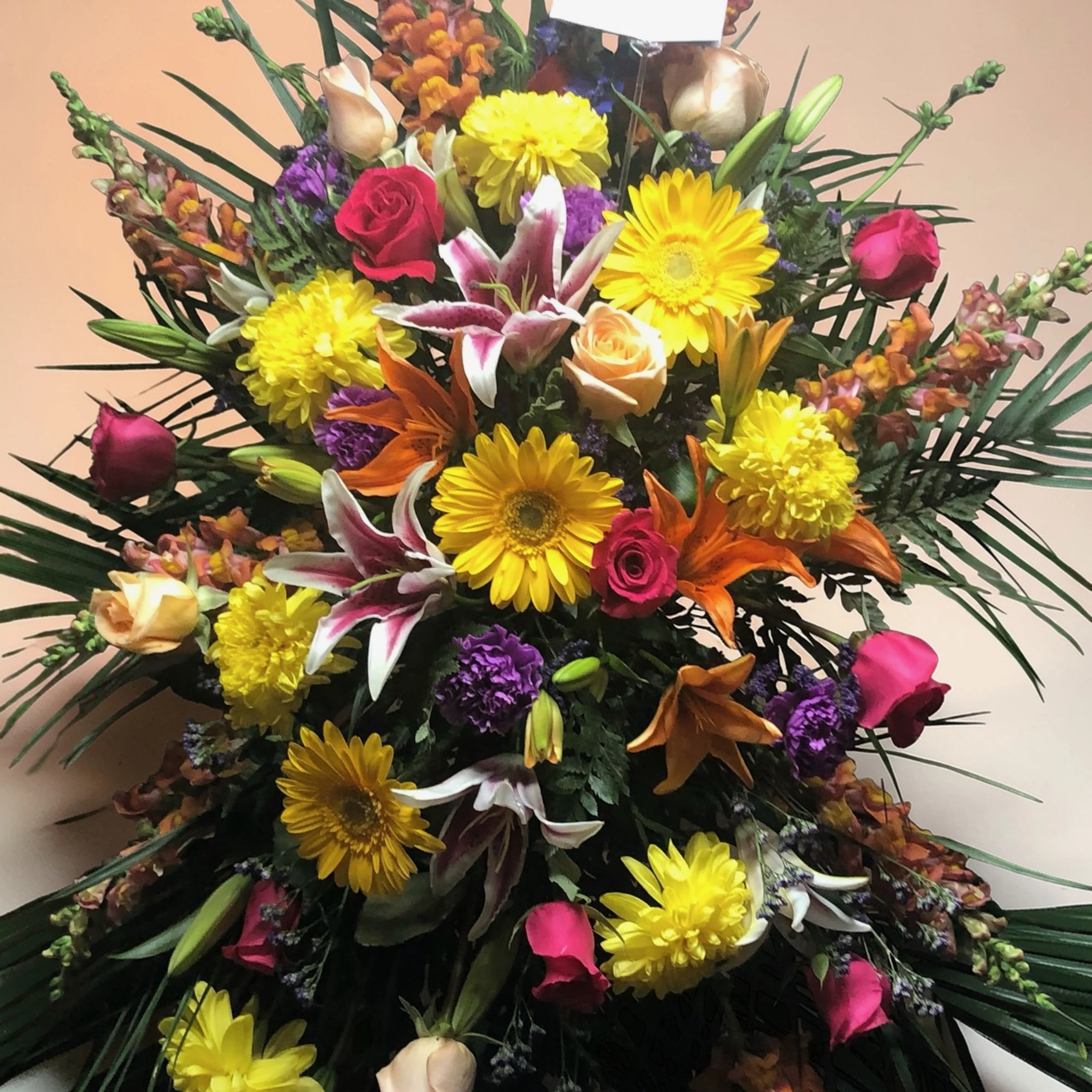 Photoroom_20260331_150917 (1).jpeg