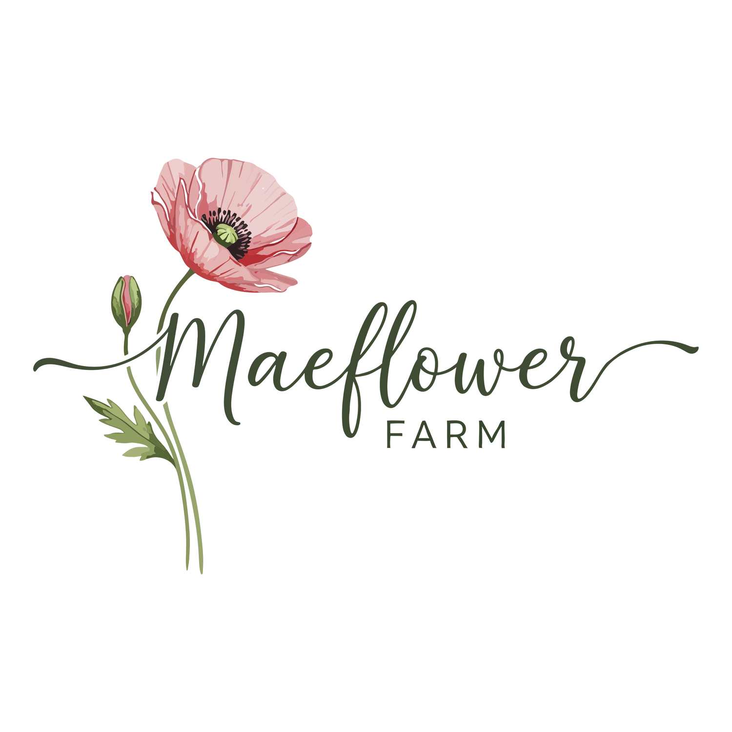Maeflower Productions