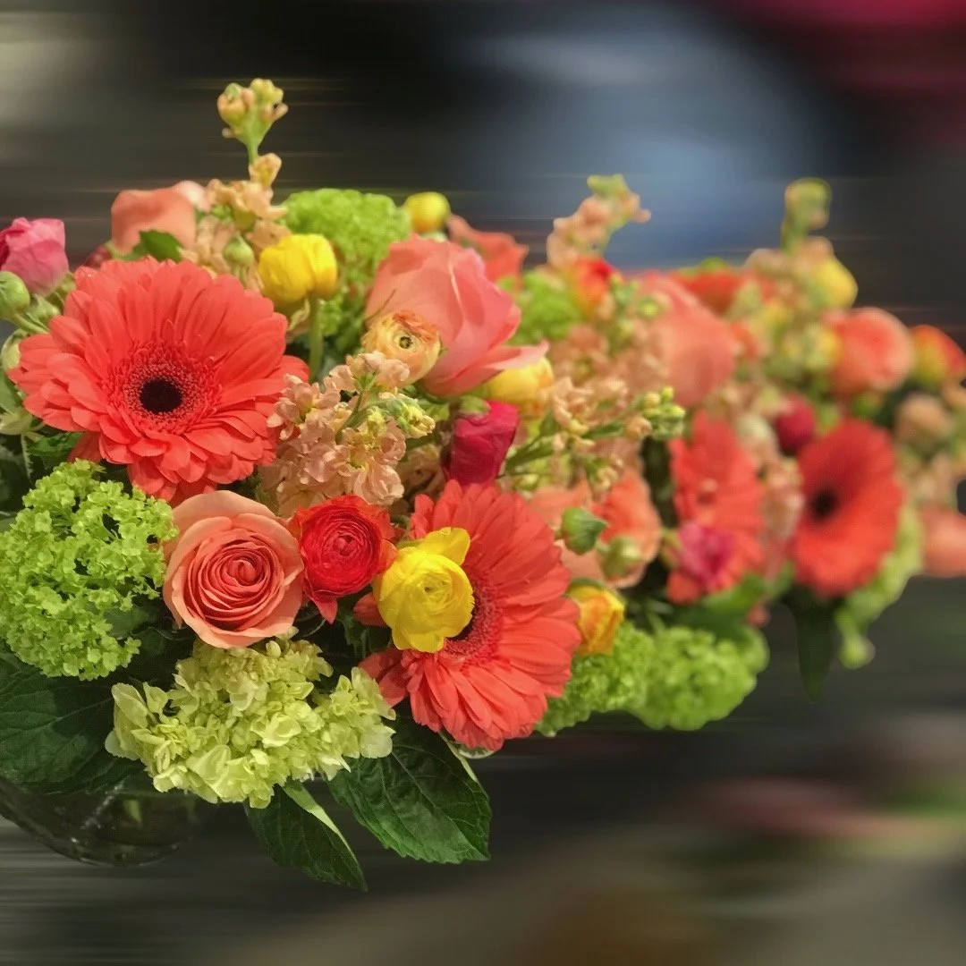 Photoroom_20260321_031624 (2).jpeg