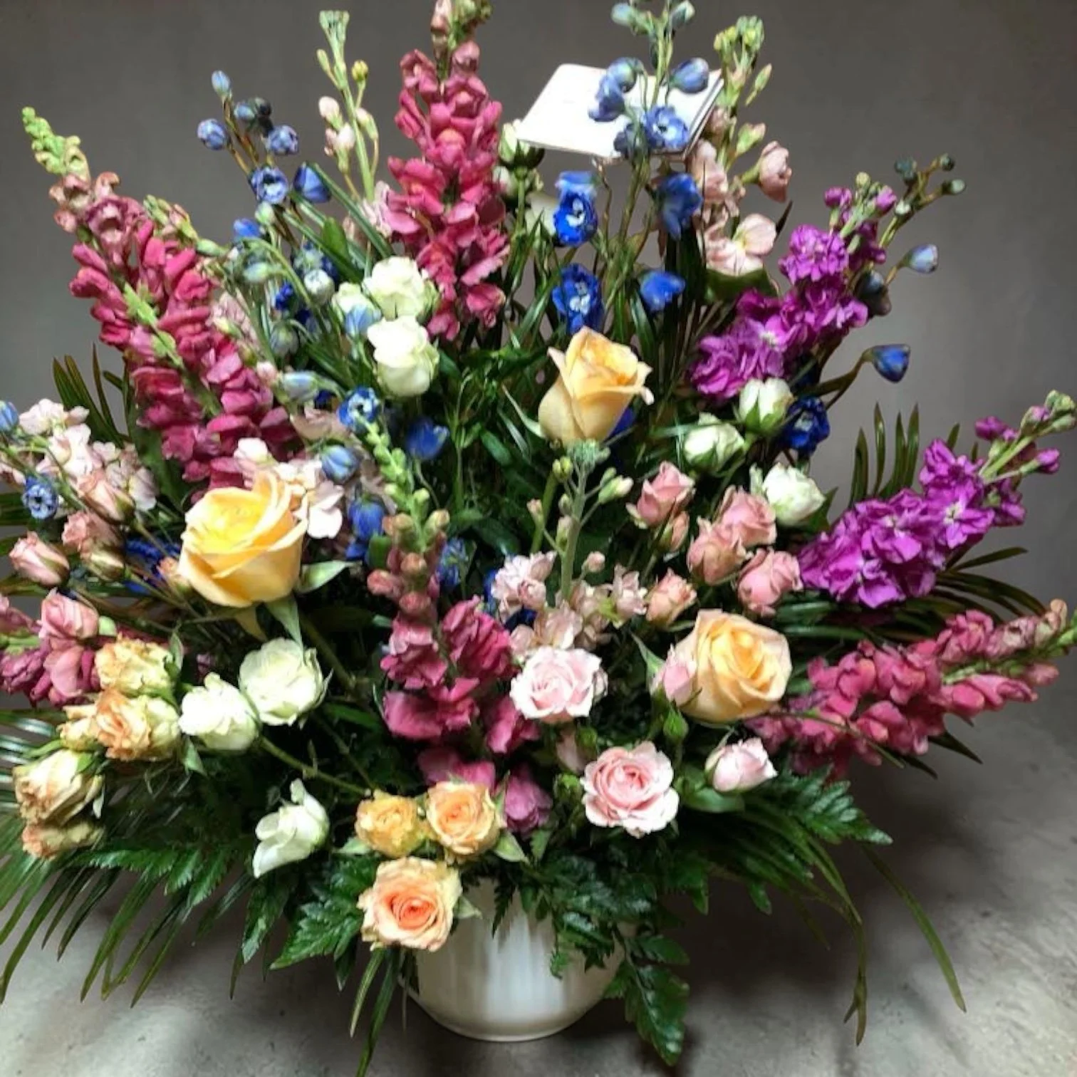 Photoroom_20260418_144017.jpeg