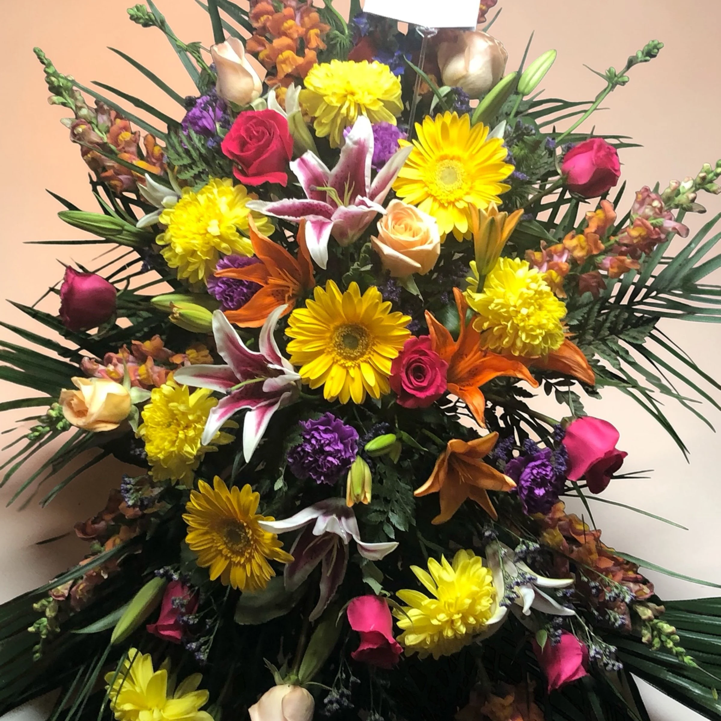 Photoroom_20260331_150917.jpeg