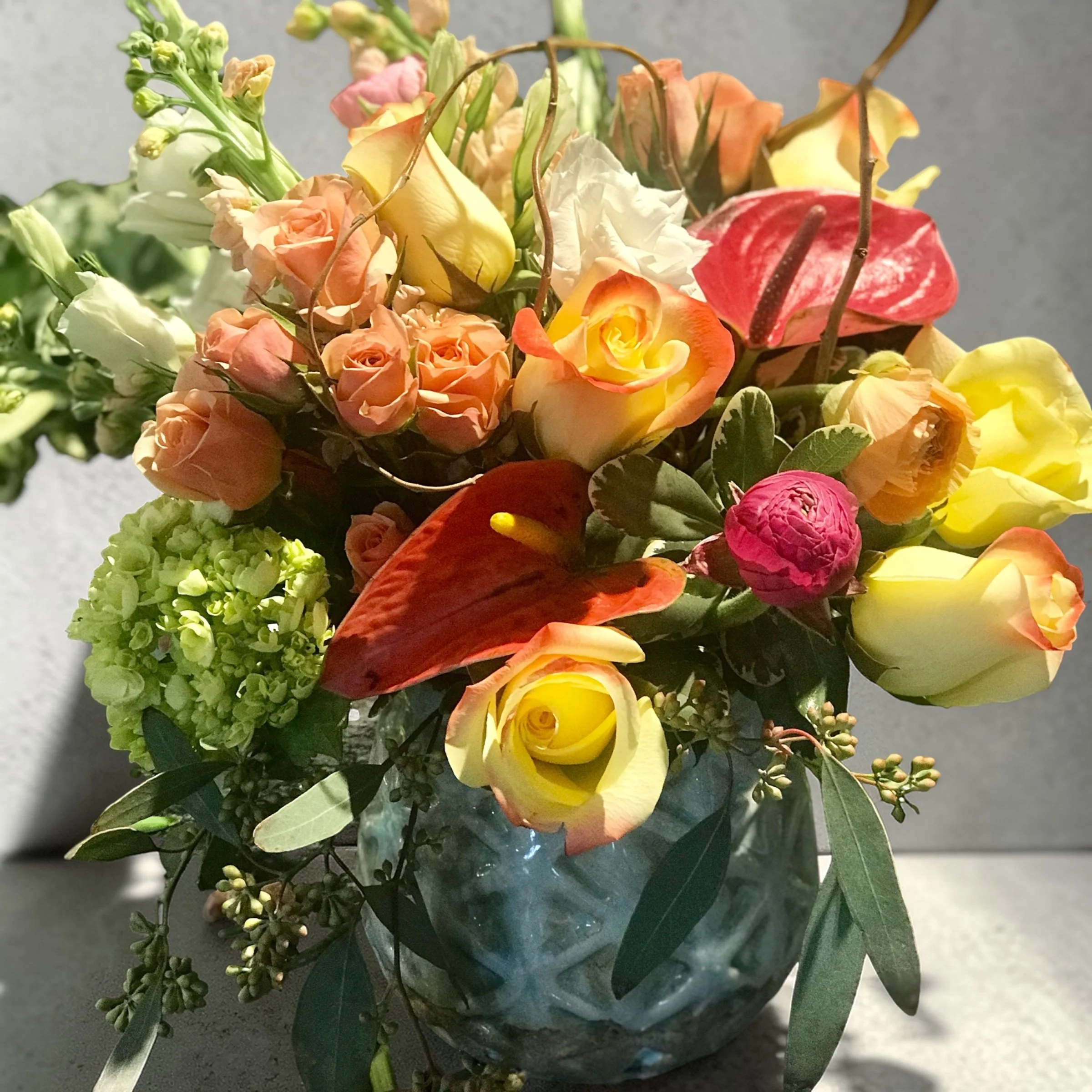 Photoroom_20260330_165840.JPG