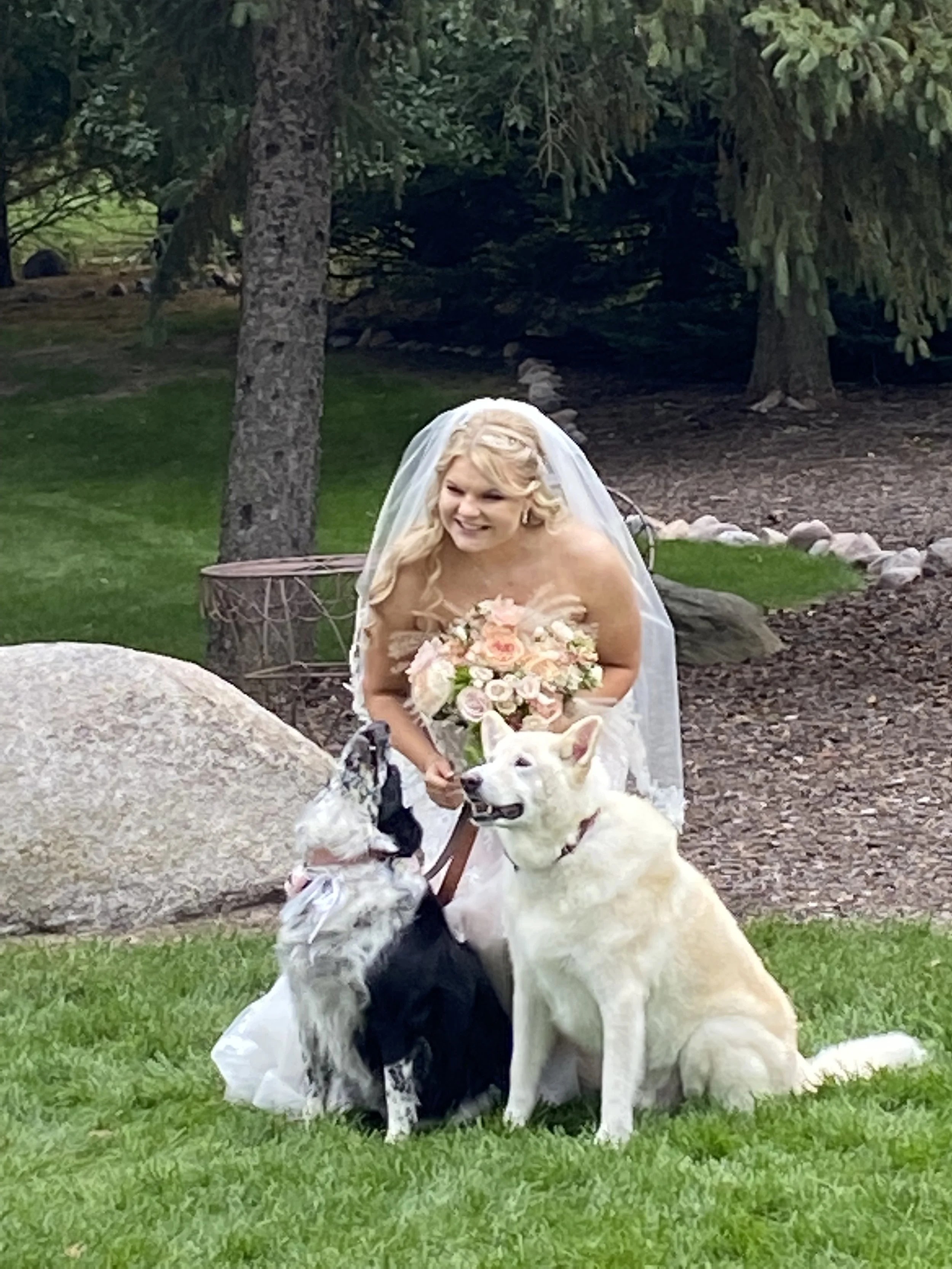 bride west bend, wi bridal dog 